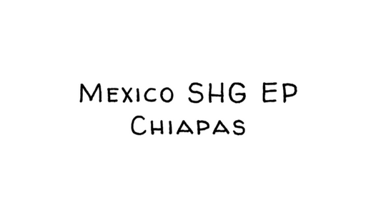 Mexico SHG EP - Strictly High Grown, European Processing